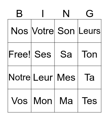 French Possessive Adjectives Bingo Card