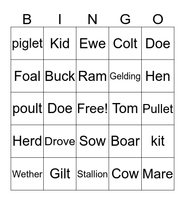 livestock Animals Bingo Card