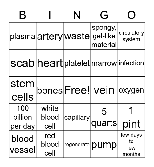 Circulatory System Bingo Card