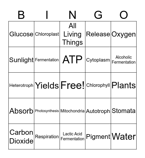 Photosynthesis and Respiration Bingo Card