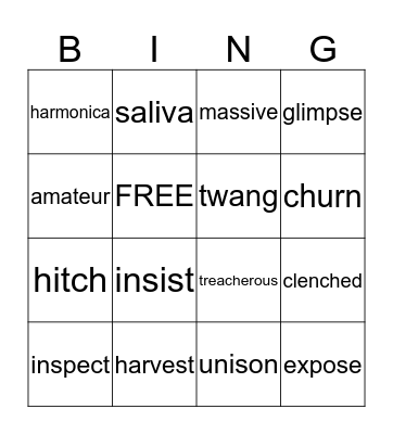 Stone Fox Vocabulary BINGO Card