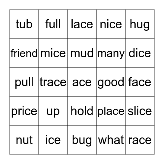 Lesson 5 Short u Spelling, Sight Words, -ice, and -ace Bingo Card