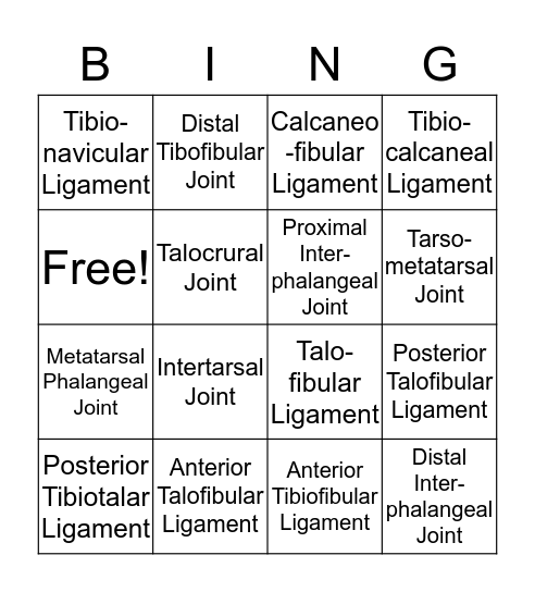 Ankle Joints and Ligaments Bingo Card