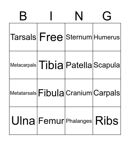 Skeletal System BINGO Card