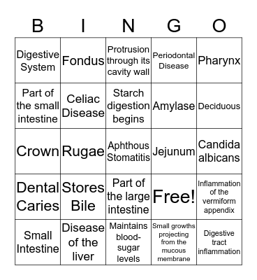 Digestive System Bingo Card