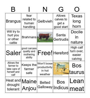 Breed Bingo Card