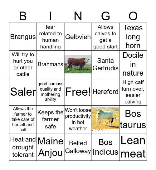 Breed Bingo Card