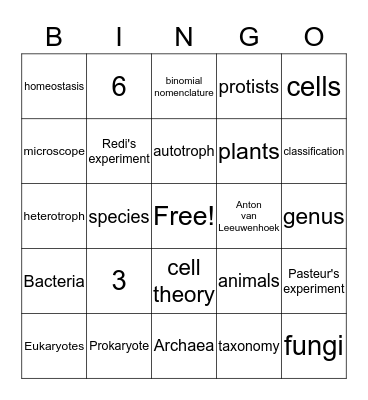 Chapter 2 Henricks Test Bingo Card