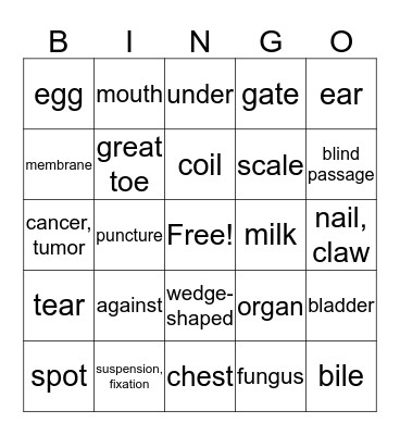 Medical Terminology Lesson 5 Bingo Card