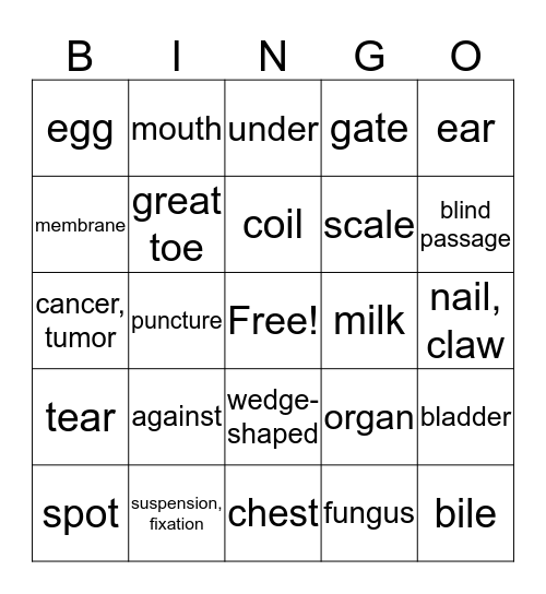 Medical Terminology Lesson 5 Bingo Card