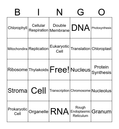 Eukaryotic Cells Bingo Card