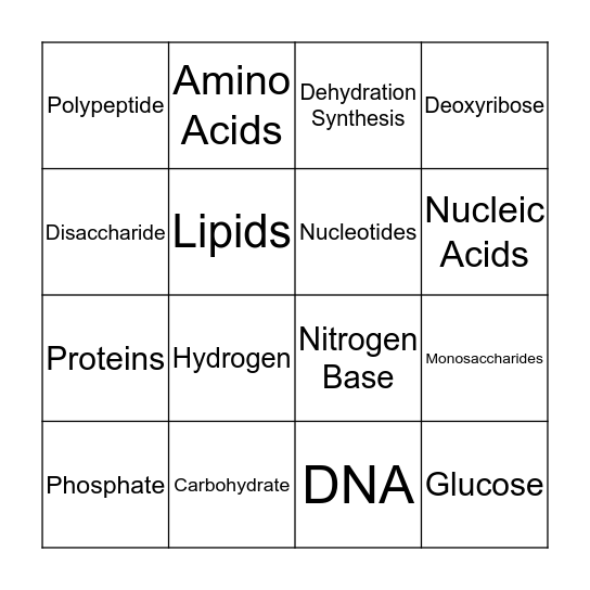 Biomolecule Bingo Card