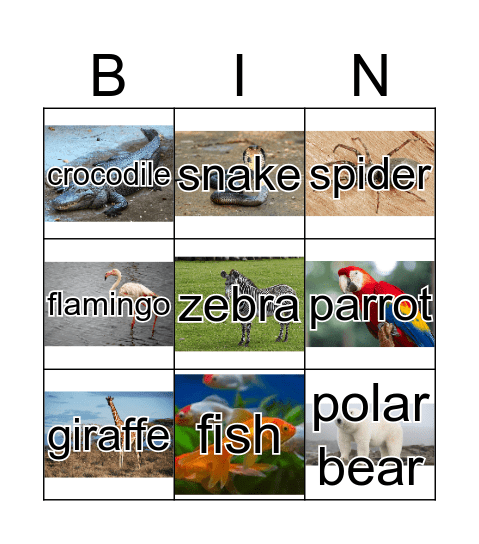 Zoo animals Bingo Card