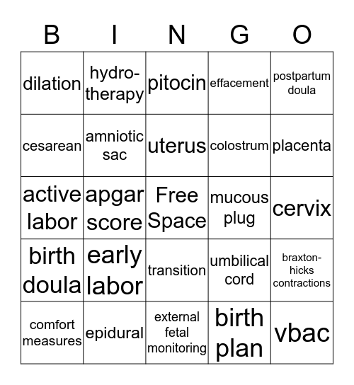 Birth Bingo Card