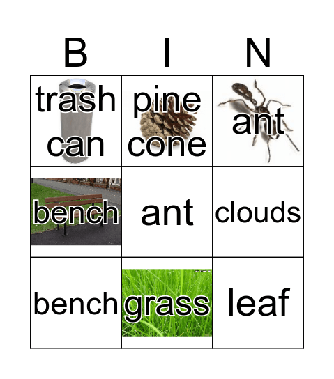 Outdoor exploration Bingo Card