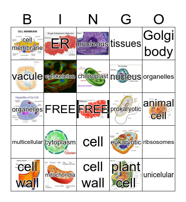 CELL BINGO Card