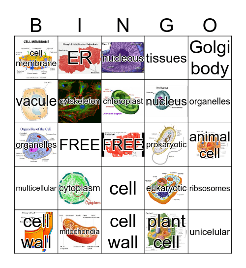CELL BINGO Card