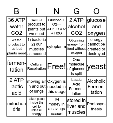 LIFE SCIENCE 3-4 CELLULAR RESPIRATION Bingo Card