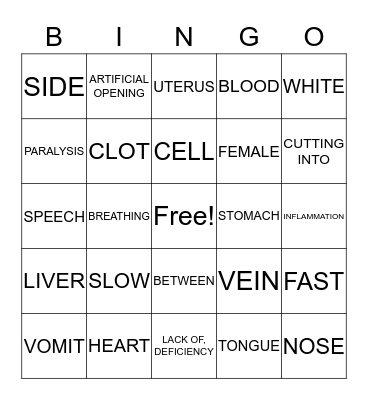 Medical Terminology Bingo Card