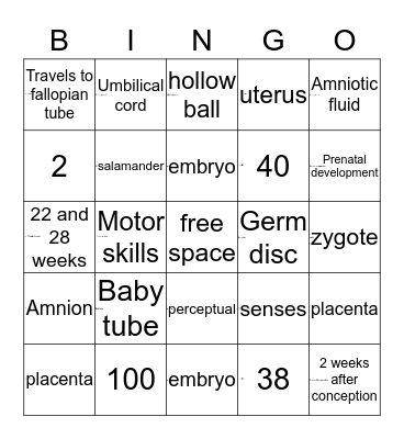 From conception to birth  Bingo Card