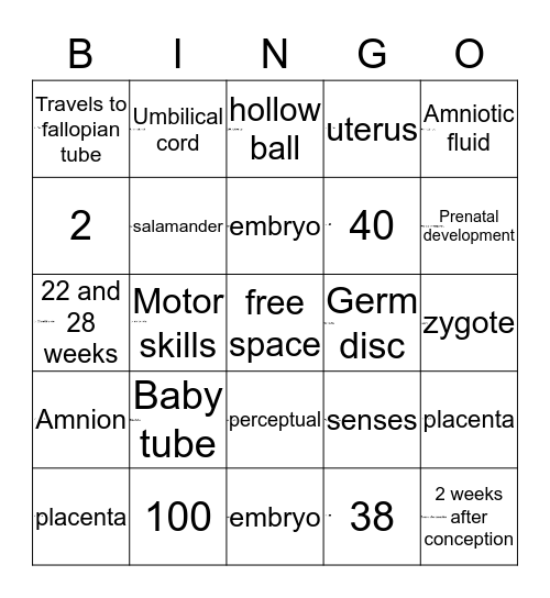 From conception to birth  Bingo Card