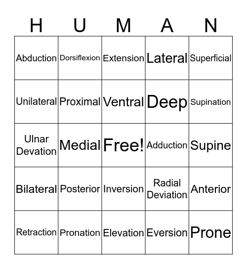 Anatomical Terms Bingo Card