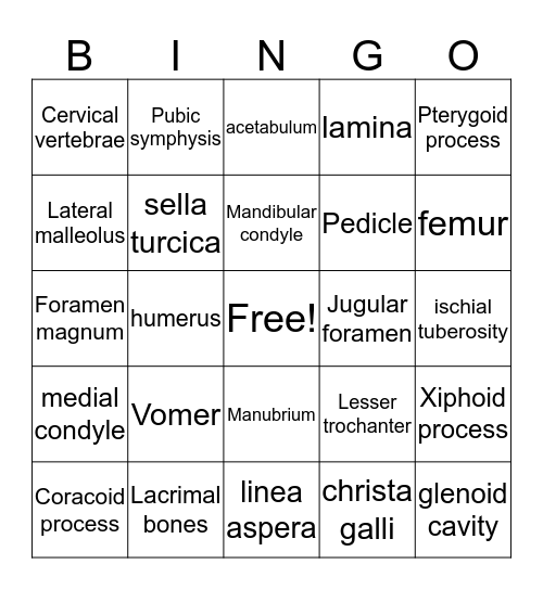 Skeletal System Bingo Card