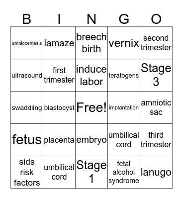 Prenatal and Infant Development Bingo Card