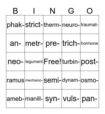 Medical Terminology Lesson 10 Bingo Card