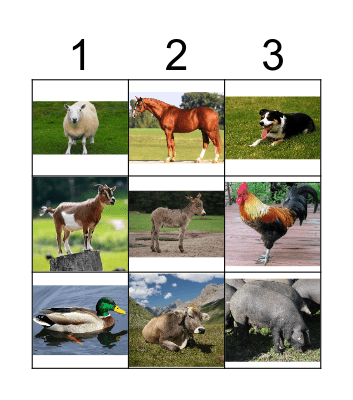 FARM ANIMALS Bingo Card