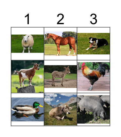 FARM ANIMALS Bingo Card