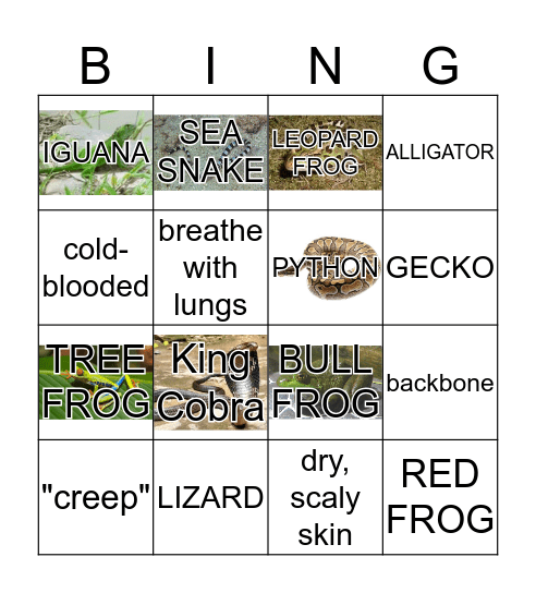 RAGING REPTILES Bingo Card