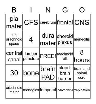 central nervous system Bingo Card
