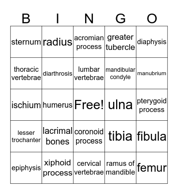 Skeletal System Bingo Card