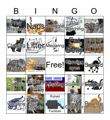 Cat Lady Bingo Card