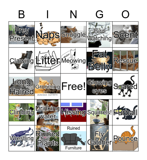 Cat Lady Bingo Card