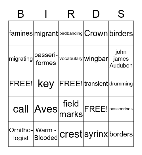 Bird Vocabulary Bingo Card