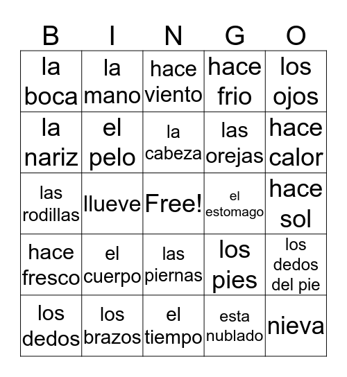 Cuerpo y Tiempo Bingo Card