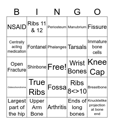Skeltal System Bingo Card