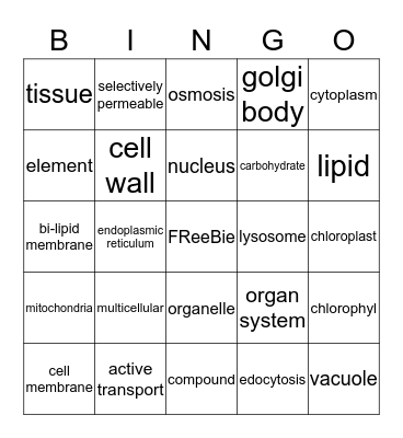 cells! cells! made of organelles Bingo Card