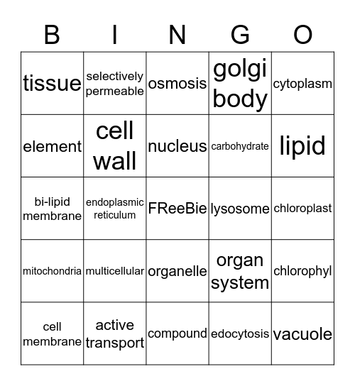 cells! cells! made of organelles Bingo Card