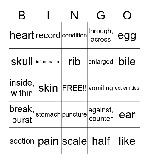 Jasmines Bingo Card