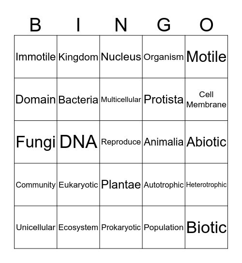 DCP Vocabulary Review Bingo Card