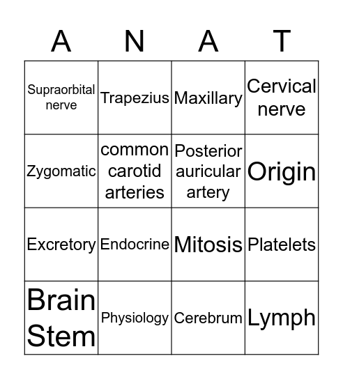 Anatomy and Physiology Bingo Card