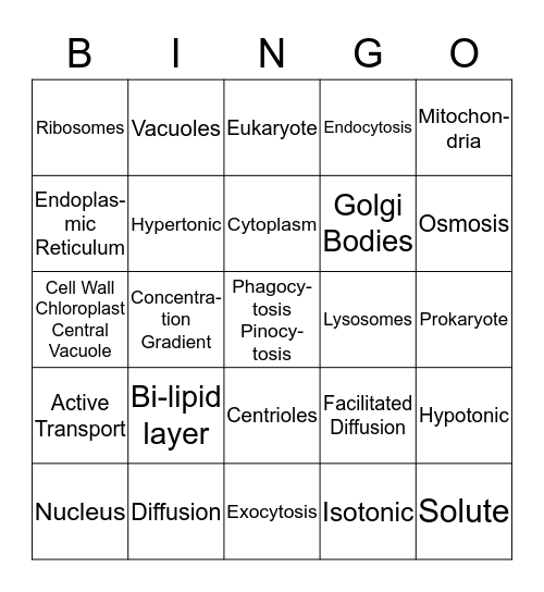 CELL ORGANELLES, DIFFUSION,OSMOSIS Bingo Card