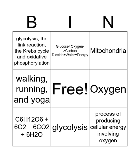 AREOBIC RESPIRATION  Bingo Card