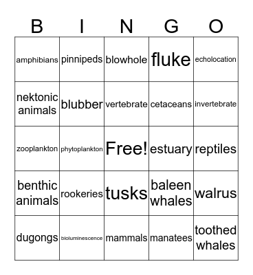 Chapters 1-3 Vocabulary Review Bingo Card