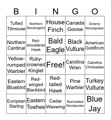 Big Sit Bingo 1 Bingo Card