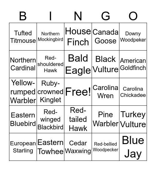 Big Sit Bingo 1 Bingo Card