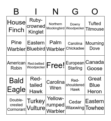 Big Sit Bingo 1 Bingo Card